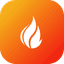 FHIR icon