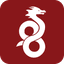 Wireguard icon